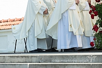 20160911 silines 9507 ms