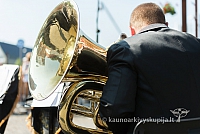 20160911 silines 9538 ms