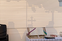 20160911 silines 9608 ms