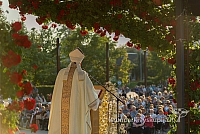 20160911 silines 9626 ms