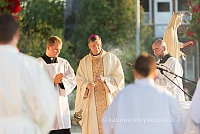 20160911 silines 9661 ms