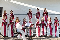 20160912 silines 0196 ms