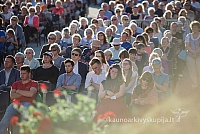 20160912 silines 0237 ms