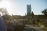 20160912 silines 0271 ms