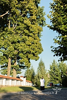 20160912 silines 0284 ms