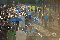 20160912 silines 0320 ms