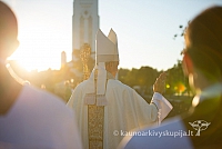 20160912 silines 0357 ms