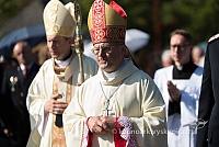 20160912 silines 9977 ms