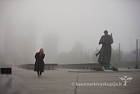 20160913 silines 0395 ms