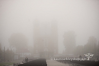 20160913 silines 0396 ms