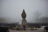 20160913 silines 0397 ms