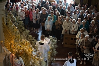 20160913 silines 0407 ms