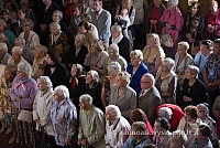 20160913 silines 0412 ms