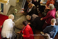 20160913 silines 0417 ms