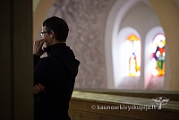 20160913 silines 0432 ms