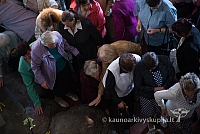 20160913 silines 0437 ms