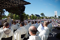 20160913 silines 0737 ms