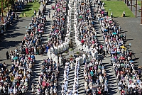 20160914 silines 1343 ms