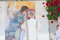 20160914 silines 1394 ms