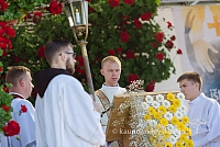 20160914 silines 1396 ms