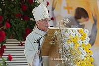 20160914 silines 1400 ms