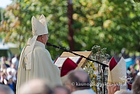 20160914 silines 1416 ms