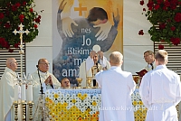 20160914 silines 1463 ms