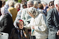 20160914 silines 1477 ms