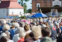 20160914 silines 1489 ms