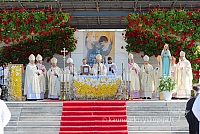 20160914 silines 1519 ms