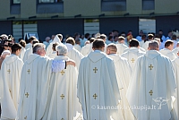 20160914 silines 1552 ms