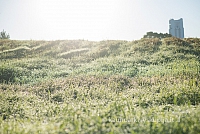 20160915 silines 1871 ms