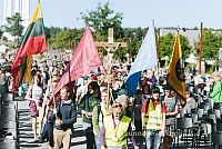 20160915 silines 1962 ms