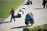 20160915 silines 1984 ms