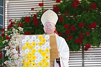 20160915 silines 2024 ms