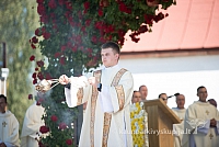 20160915 silines 2077 ms