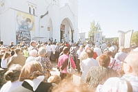 20160915 silines 2255 ms