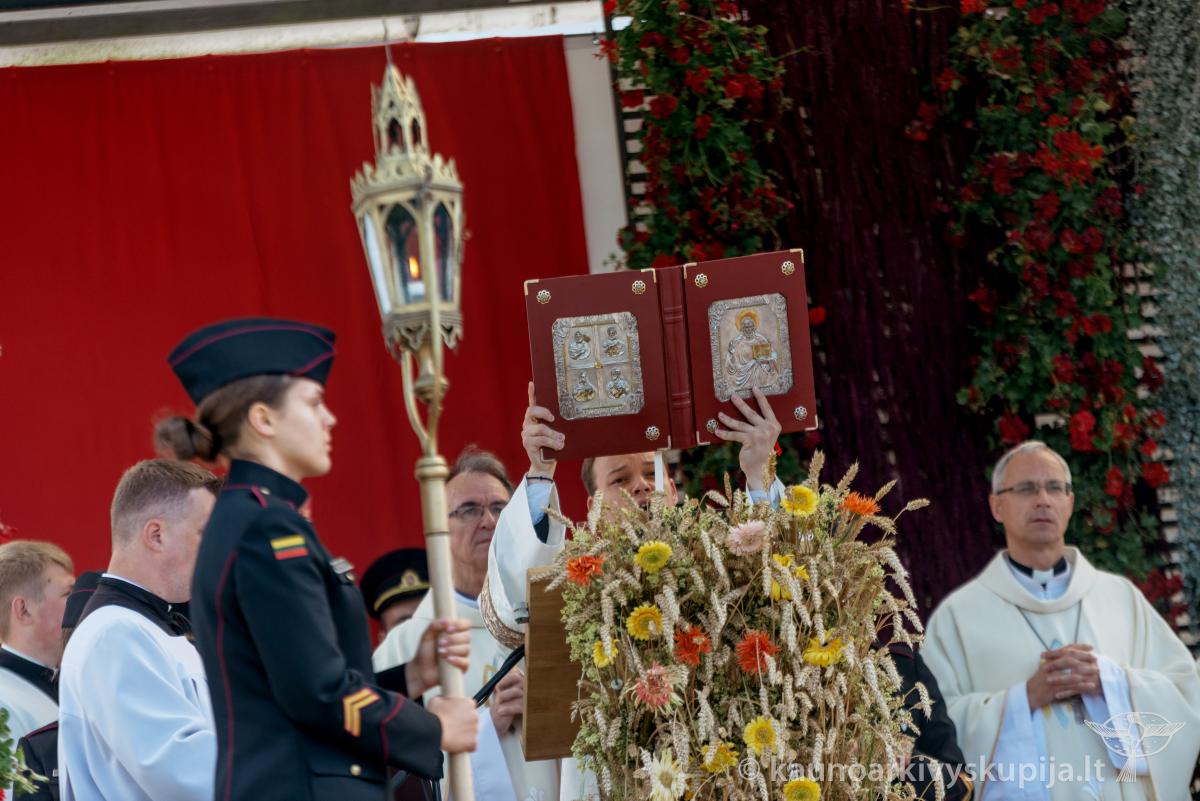 Lietuvos kariuomenės diena 