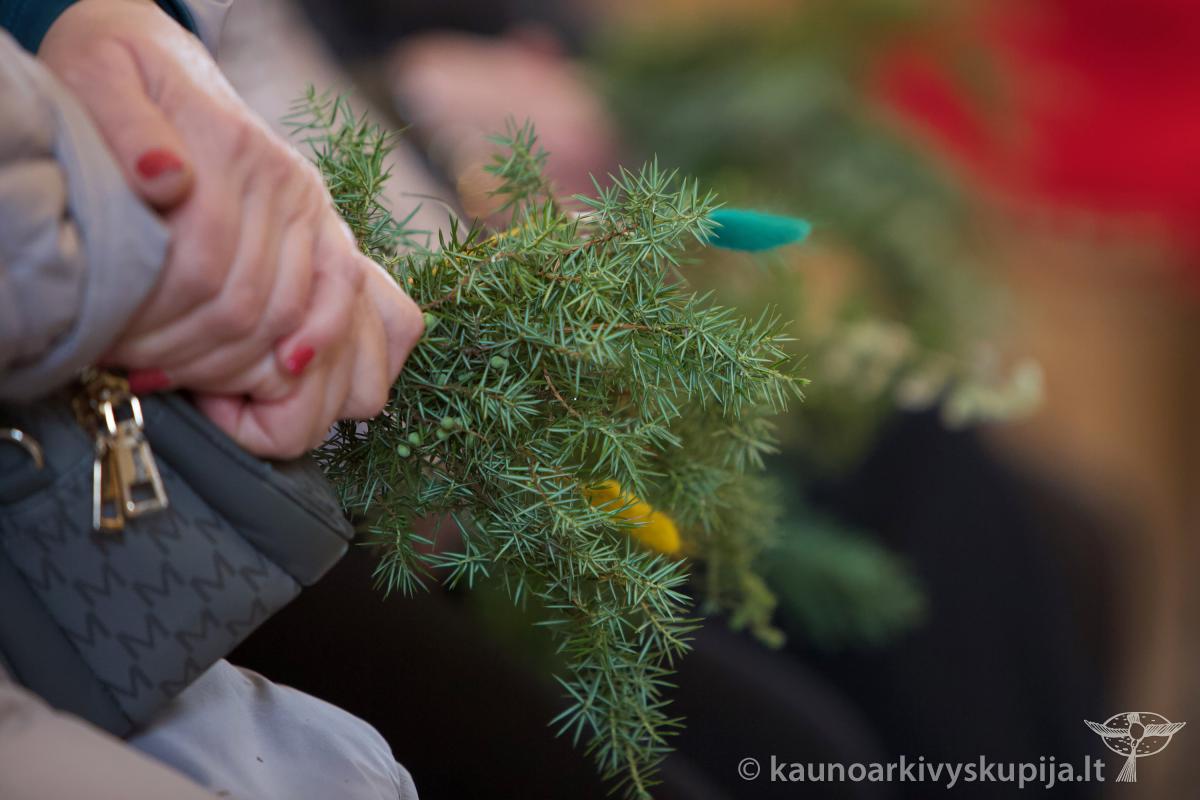 Verbų sekmadienis 2024